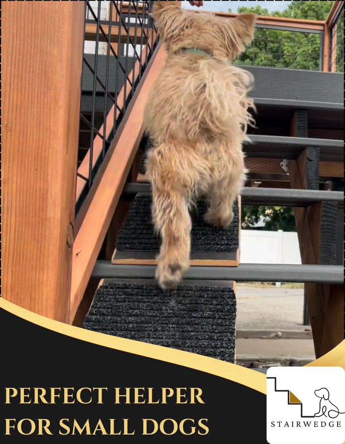 StairWedge Unveils the Pet Ramp Revolution