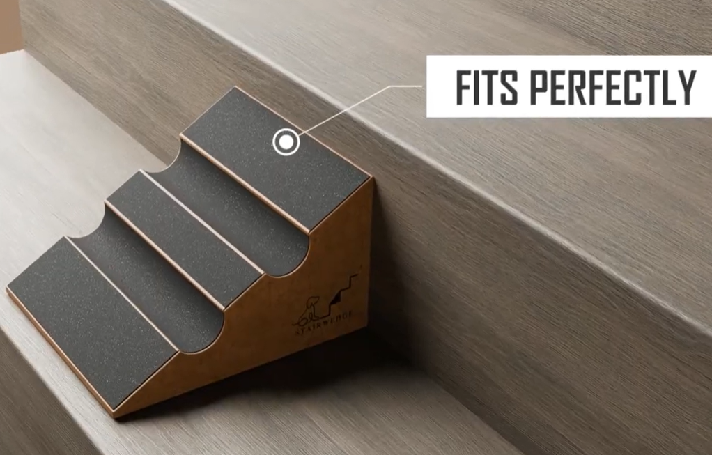 Dog Slipping on Stairs? Here’s the Fix Vets and Trainers Recommend