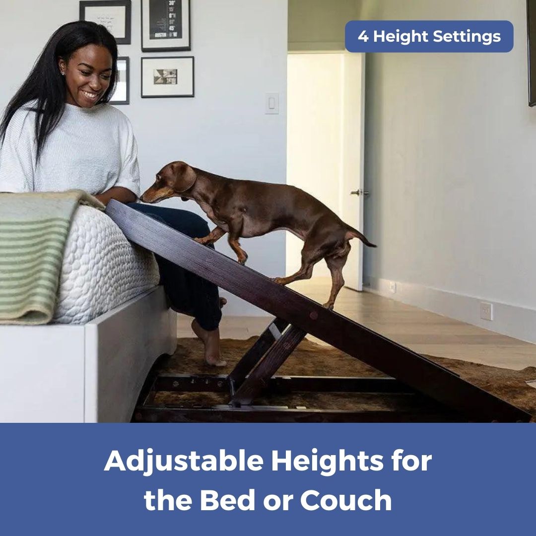 PawRamp™ Dog Ramp for Bed or Couch