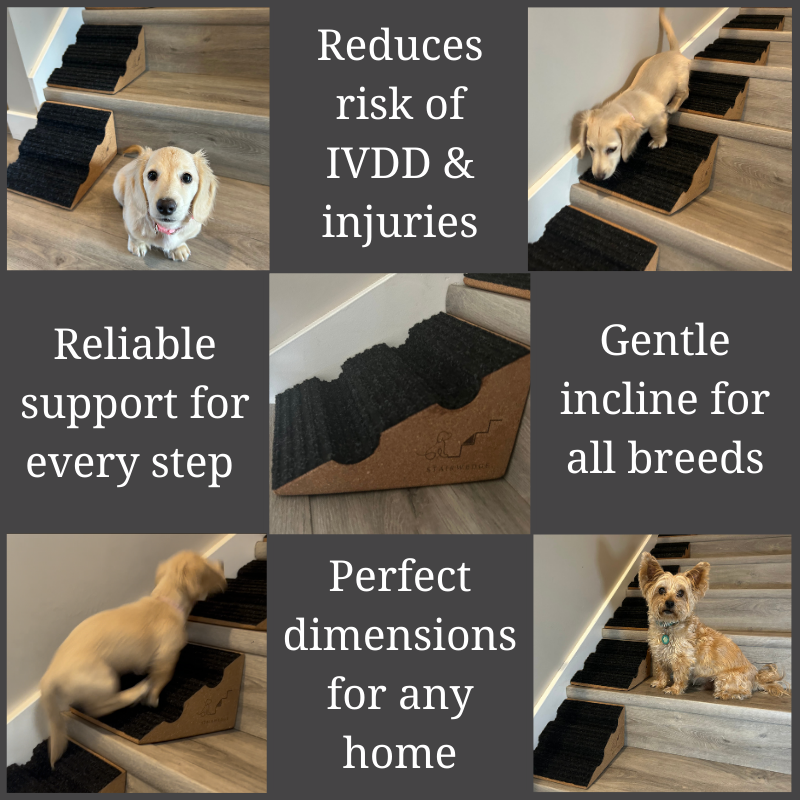small dog ramp system positioned on indoor staircase