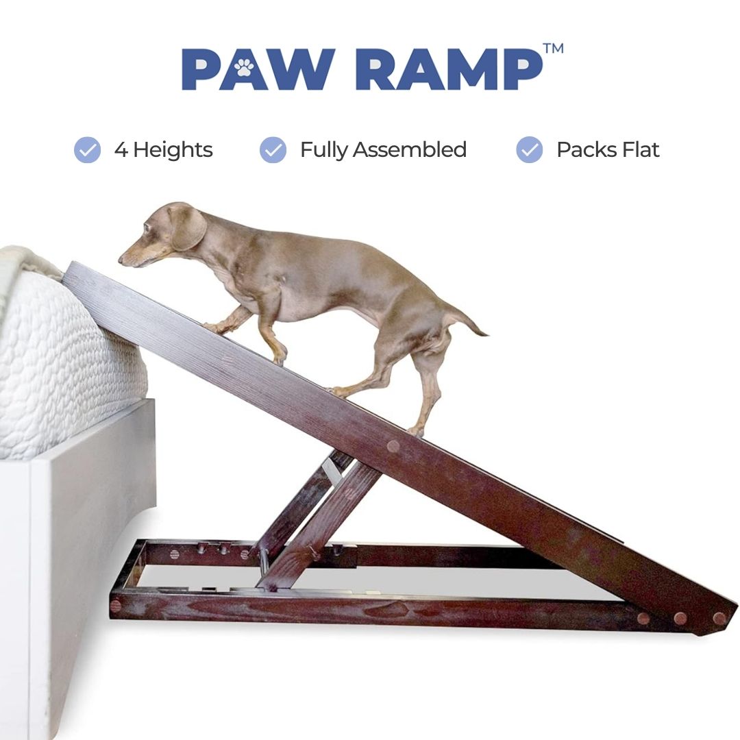 PawRamp™ Dog Ramp for Bed or Couch - Main Image