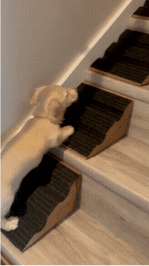 Stairwedge - Dog Ramp for Small Dogs - Versatile Stair Ramp for Any Staircase