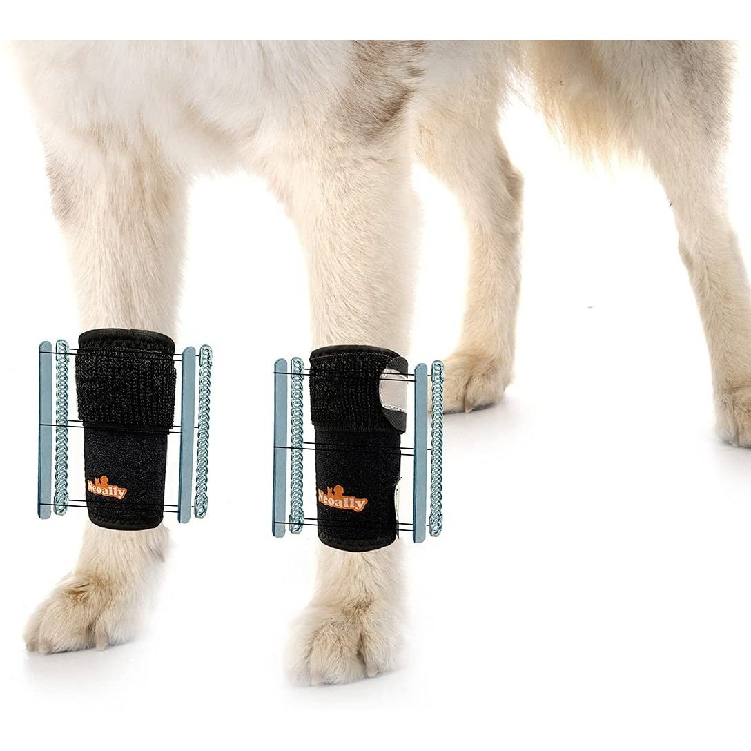 NeoAlly 3-in-1 Front Leg Dog Splint Brace: Rigid & Spring Inserts, Safety Reflective Straps (Pair)