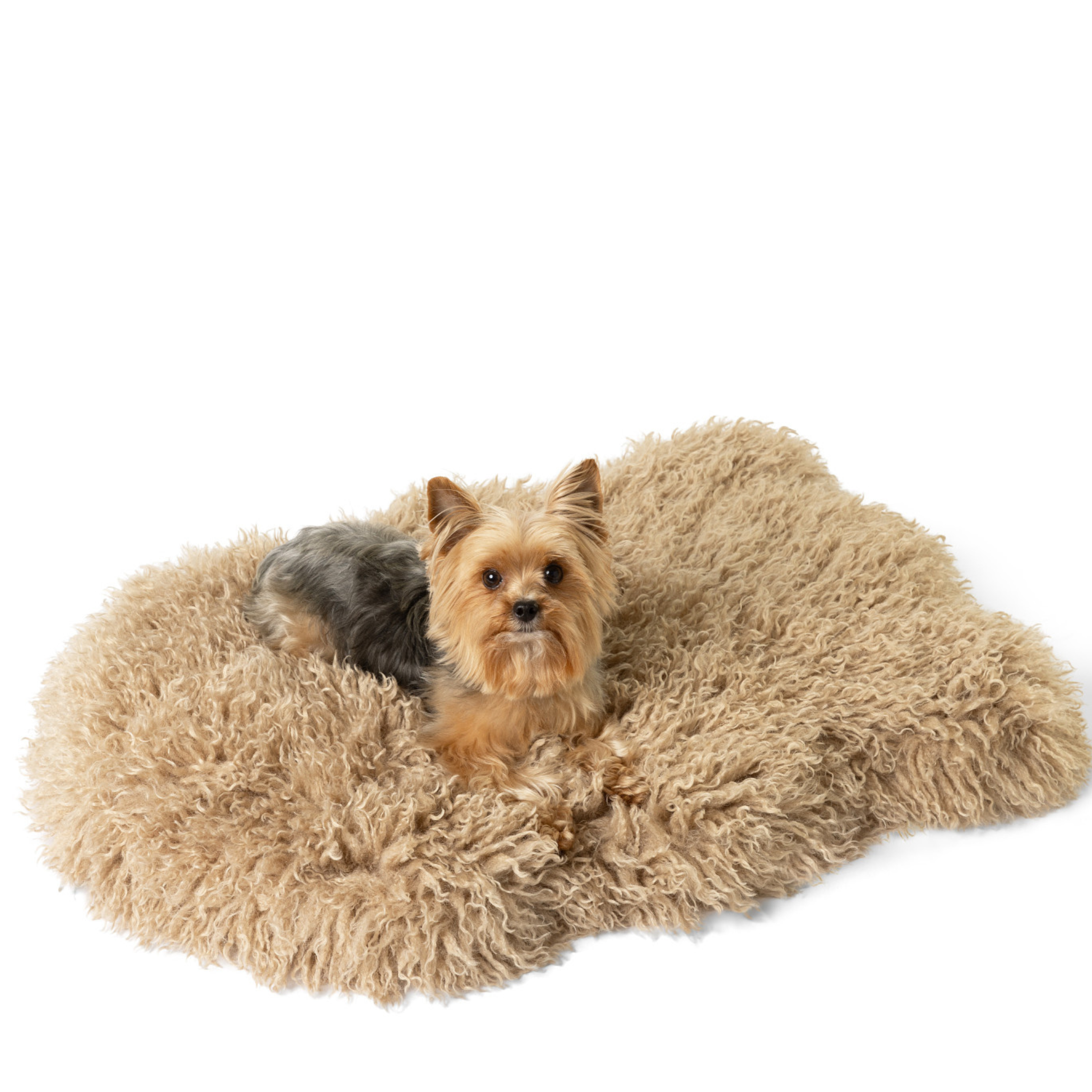 PupRug® Luxe Faux Fur Orthopedic Dog Bed - Plush Sheep Tan