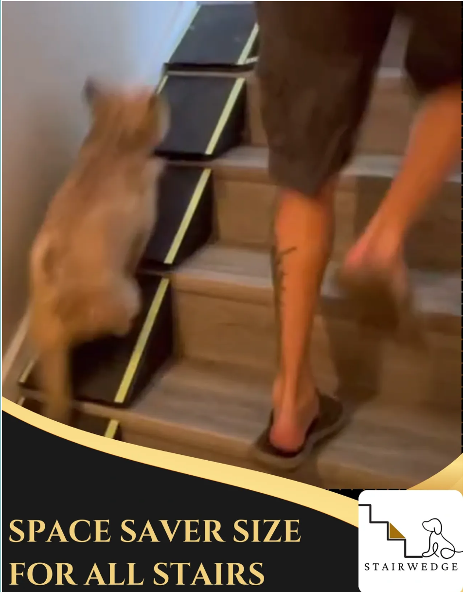 StairWedge Unleashes The Latest Design To Aid Pets With Challenges Accessing Stairs