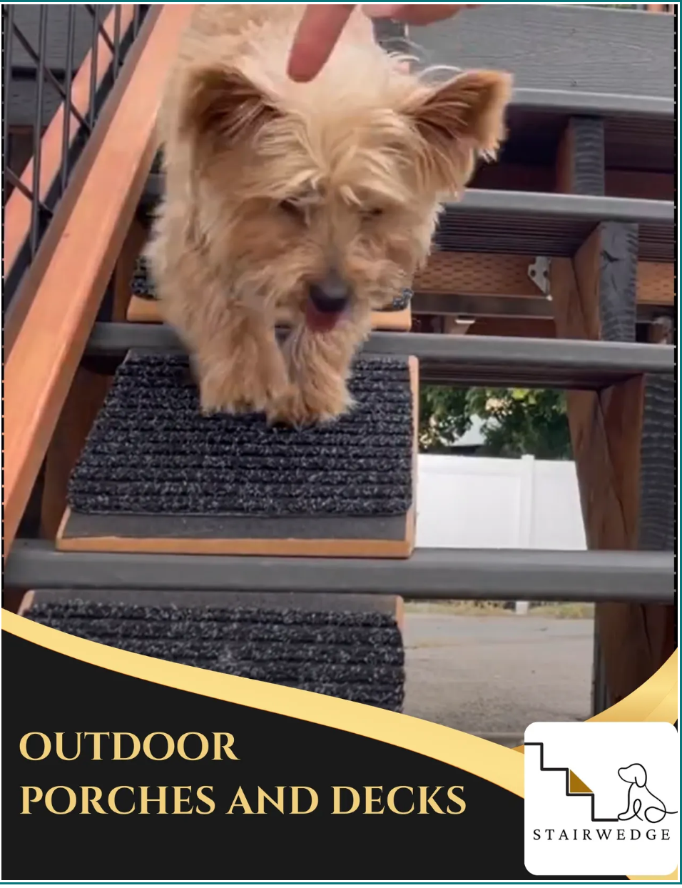 StairWedge Is Elevating Pet Stair Experiences for Safety