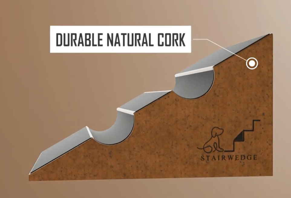 My Dog Is Afraid of Stairs — What Can I Do? The Wedge-for-Stairs Fix That Works Fast