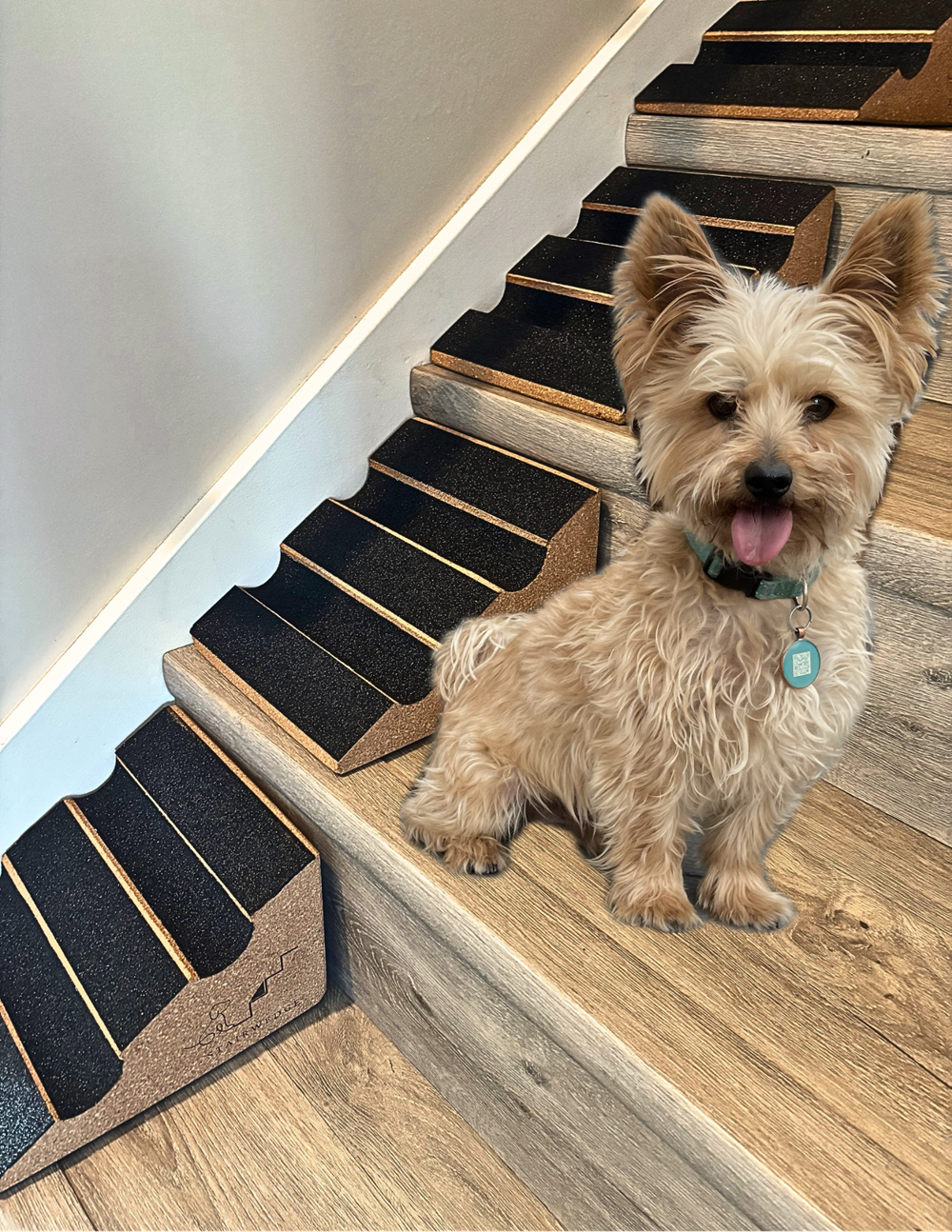 Confidence‑Tread StairWedge Debuts: Enhanced Traction for Pets on the Move