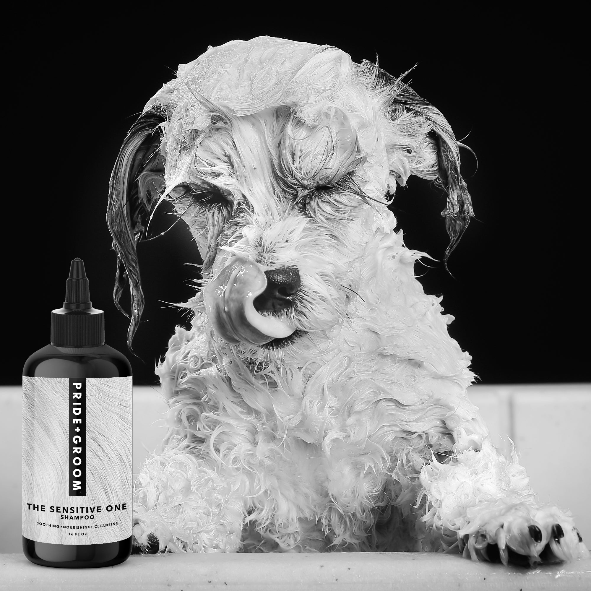 THE SENSITIVE ONE Dog Shampoo