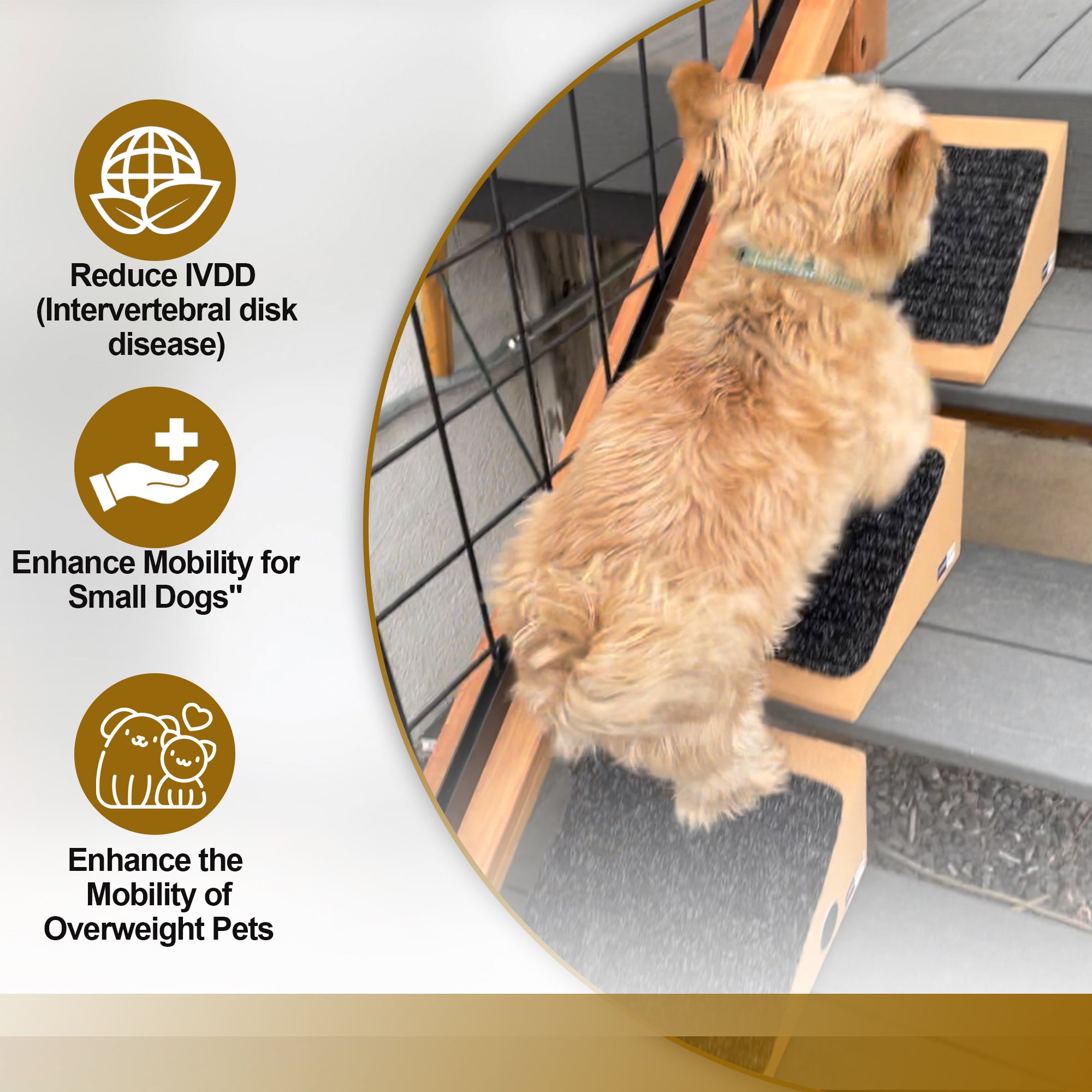 Stairwedge Dog Stair Ramp for Any Staircase