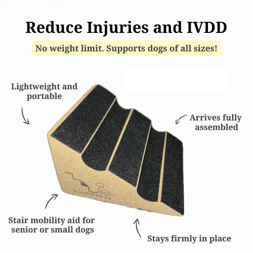 Stairwedge - Best Selling Tread and Grooved Design!  Dog Ramp for Small Dogs - Versatile Stair Ramp for Any Staircase