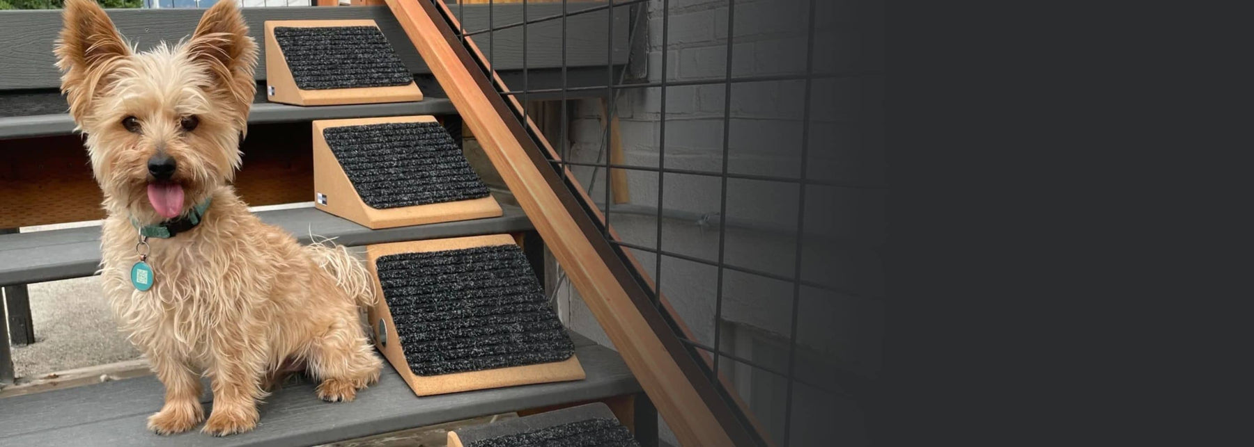 Stairwedge - Dog Stair Ramp for Any Staircase