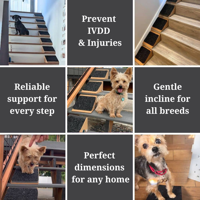 Stairwedge - Dog Ramp for Small Dogs - Versatile Stair Ramp for Any St