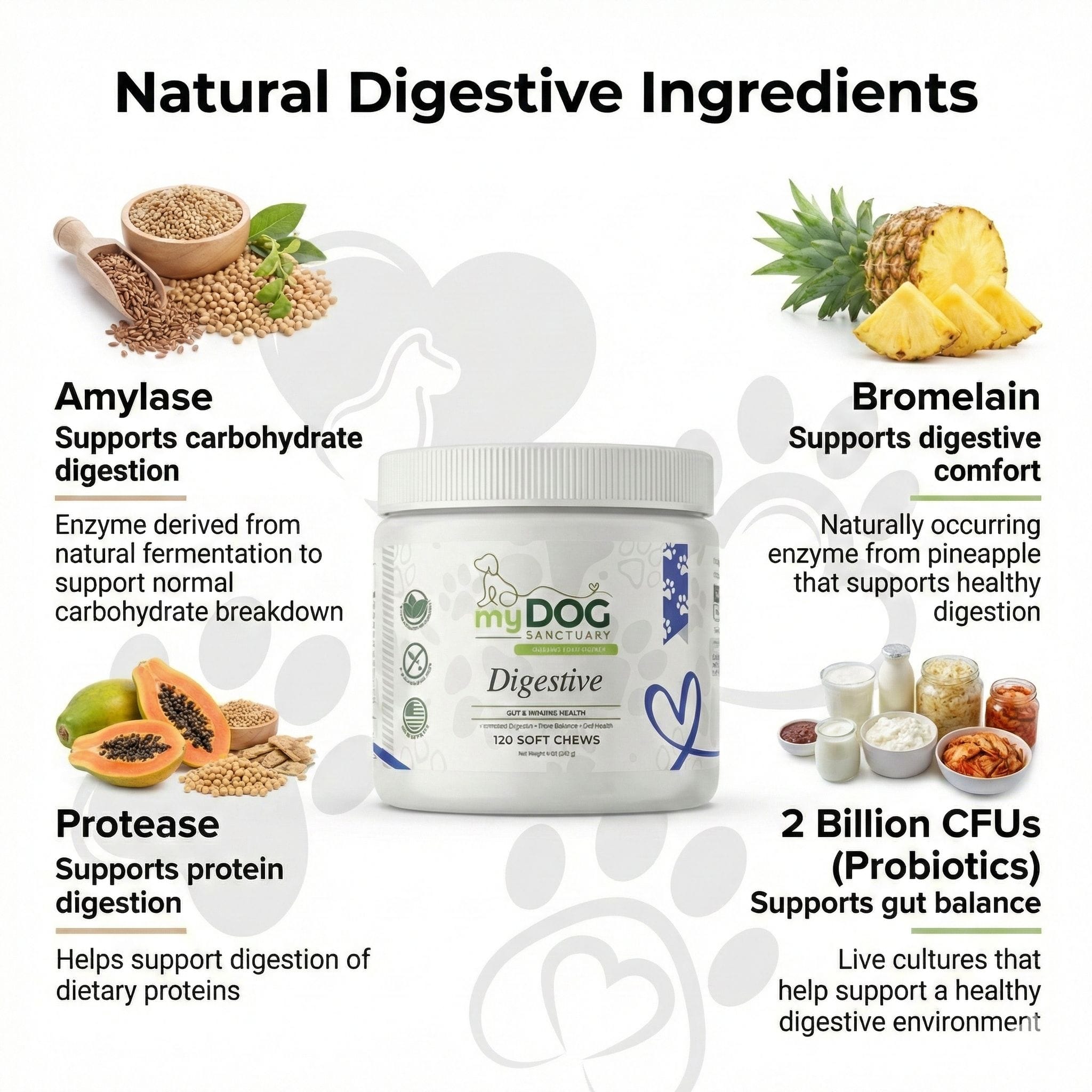 Gut Garden Digestive Support Chews