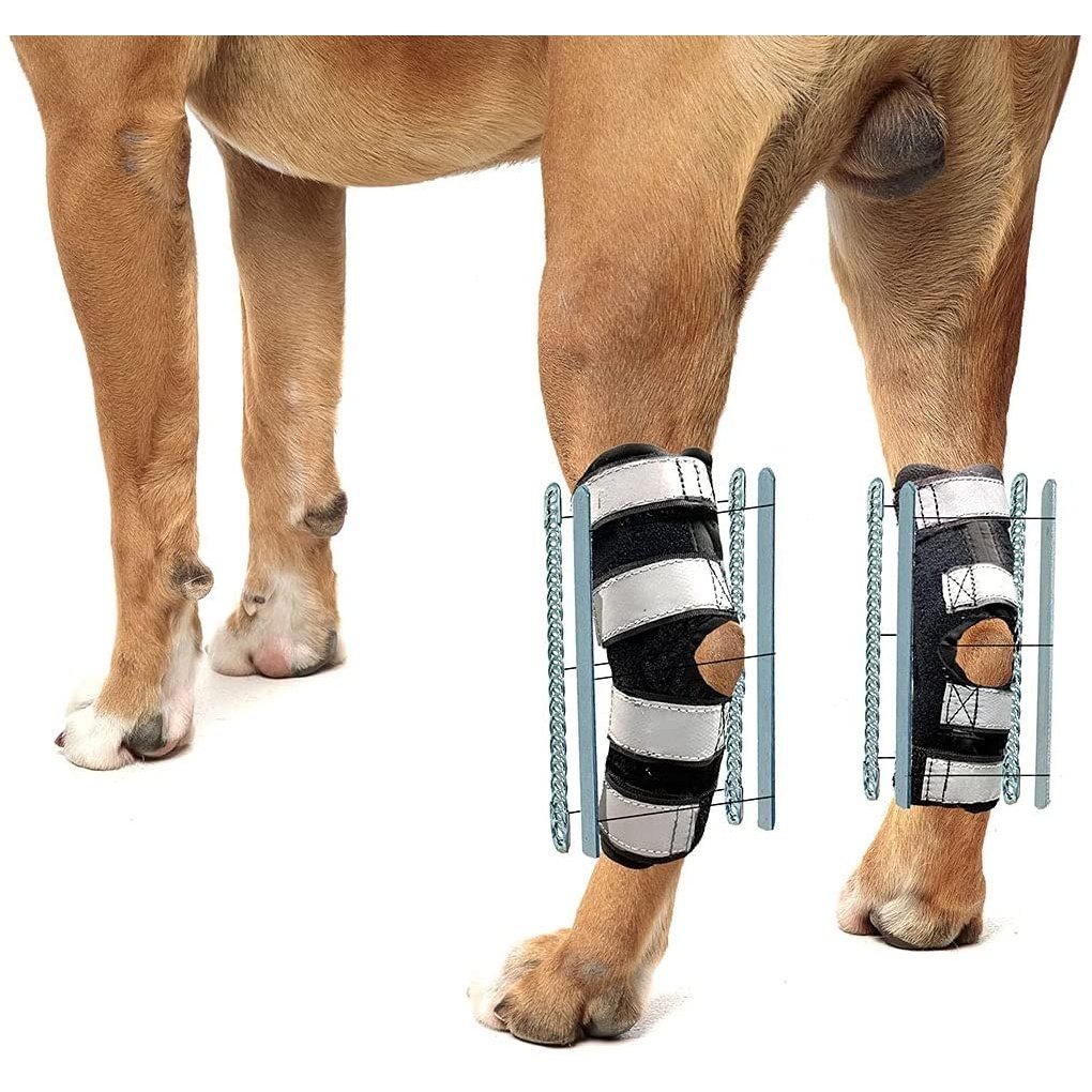 NeoAlly 3-in-1 Long Rear Leg Hock Brace - Rigid and Spring Inserts | Safety Reflective Straps [Long Version] (Pair)