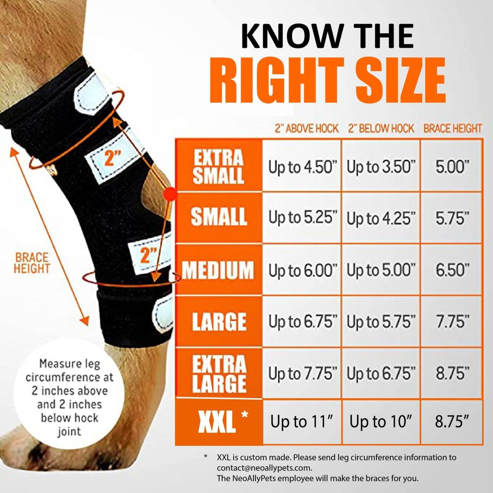 Dog Ramps / Joint Support