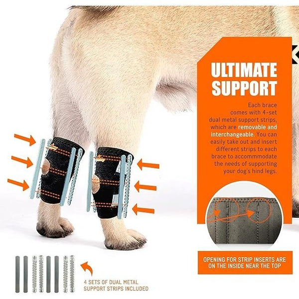 NeoAlly 3-in-1 Short Rear Leg Hock Brace for Smaller Dogs with Rigid a