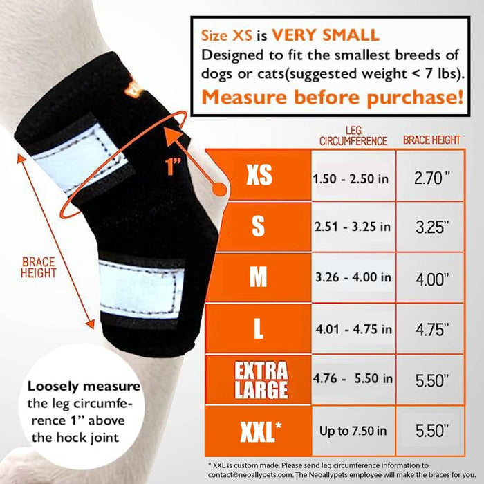 NeoAlly Dog Rear Leg Hock Brace with Safety Reflective Straps for Smal