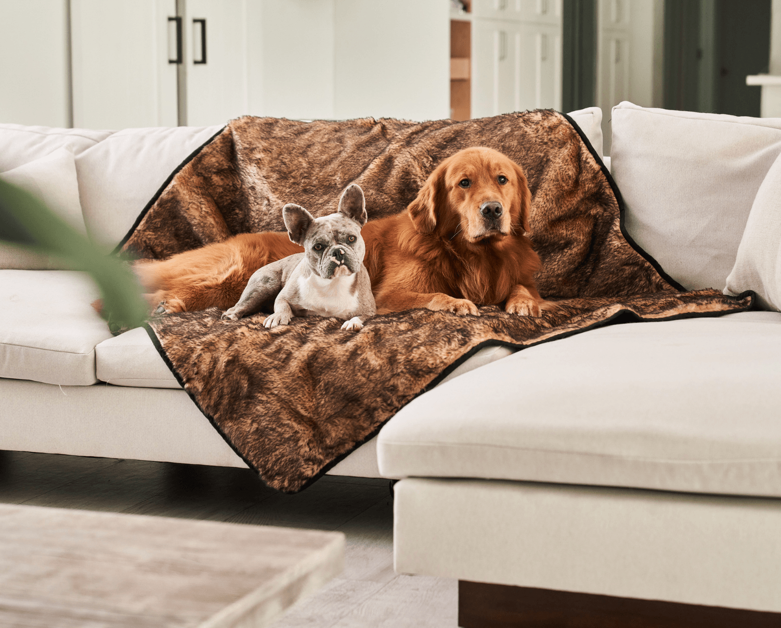 PupProtector™ Summer Short Fur Waterproof Throw Blanket - Sable Tan